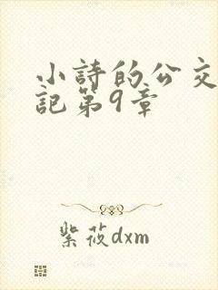 小诗的公交车日记第9章封面