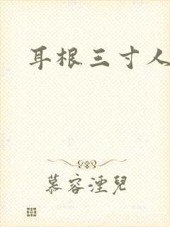 耳根三寸人间