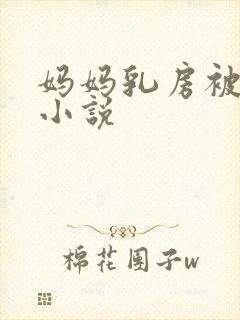 妈妈乳房被蹂躏小说