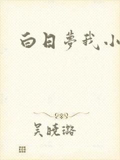 白日梦我小说