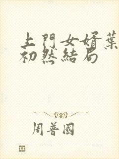 上门女婿叶辰萧初然结局封面