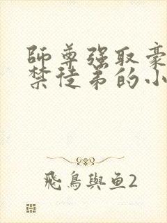 师尊强取豪夺囚禁徒弟的小说