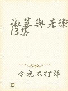淑蓉与老卫1—13集封面
