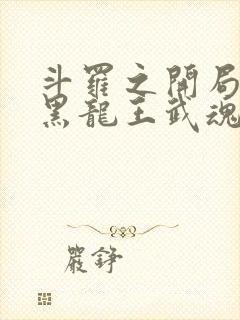 斗罗之开局觉醒黑龙王武魂