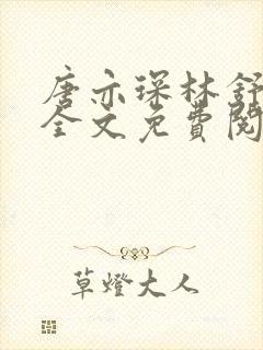 唐亦琛林舒小说全文免费阅读封面