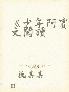 《少年阿宾》全文阅读封面