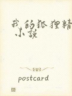 我的狐狸精后妈 小说