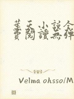 叶天小说全文免费阅读无弹窗