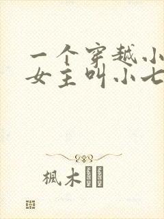 一个穿越小说,女主叫小七摄政王