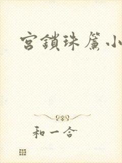 宫锁珠帘小说