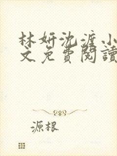 林妍沈渡小说全文免费阅读