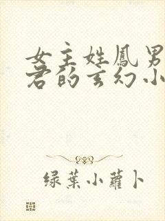 女主姓凤男主姓君的玄幻小说