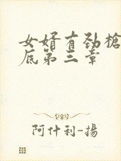 女婿有劲枪枪到底第三章