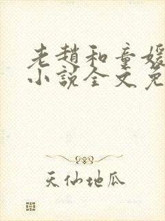 老赵和童媛媛的小说全文免费阅读封面