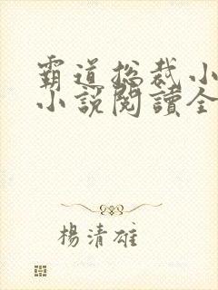 霸道总裁小娇妻小说阅读全文封面