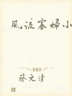 风流寡妇小说
