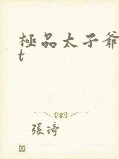 极品太子爷txt