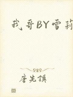 我哥BY雪莉封面
