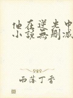 他在逆光中告白小说无删减封面