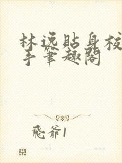 林逸贴身校花高手笔趣阁封面