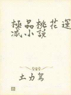 极品桃花运未删减小说封面