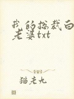 我的总裁白富美老婆txt封面