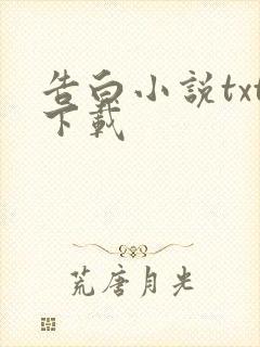 告白小说txt下载