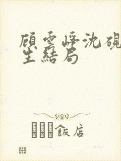 顾云峥沈砚舟雪生结局封面