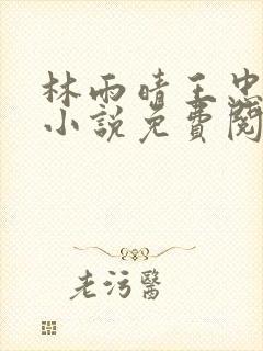 林雨晴王忠文的小说免费阅读无弹窗封面