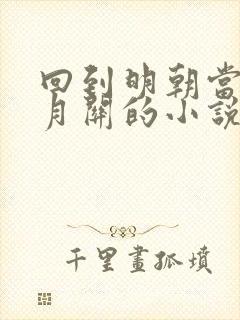 回到明朝当王爷月关的小说