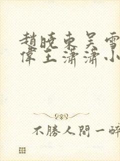 赵晓东吴雪晴郑伟王潇潇小说