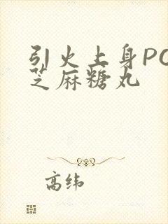 引火上身POP芝麻糖丸