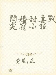 闪婚甜妻战少心尖宠小说