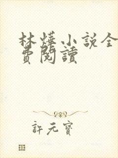 林烨小说全文免费阅读