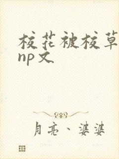 校花被校草玩弄np文