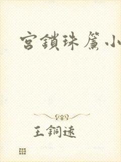 宫锁珠帘小说封面