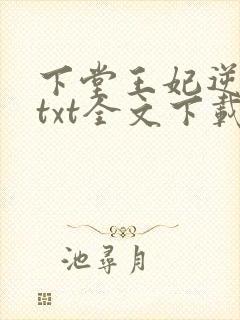 下堂王妃逆袭记txt全文下载封面
