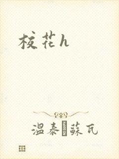 校花h