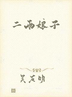 二两娘子封面