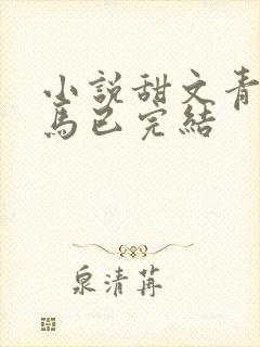小说甜文青梅竹马已完结封面
