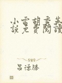 小雷胡秀英的小说免费阅读