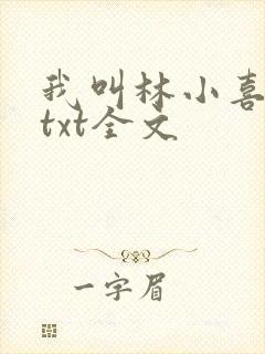 我叫林小喜乖宝txt全文