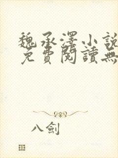 魏承泽小说全文免费阅读无弹窗笔趣封面