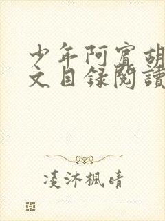 少年阿宾胡太全文目录阅读在线
