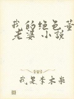 我的绝色董事长老婆 小说