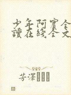 少年阿宾全文阅读在线全文阅读