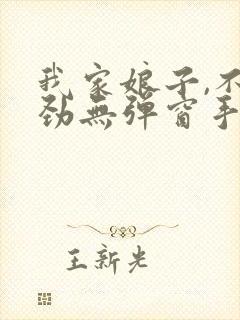 我家娘子,不对劲无弹窗手机版封面