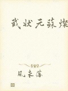 武状元苏灿