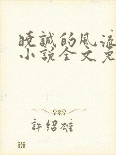 晓诚的风流人生小说全文免费阅读最