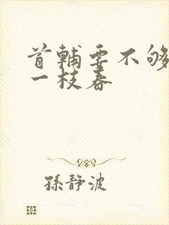 首辅要不够po一枝春